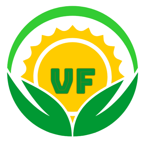 logo vifresh